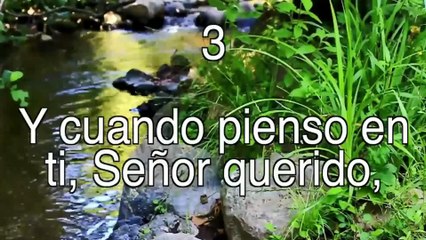 Despedida de santo Sábado de Jehová 8