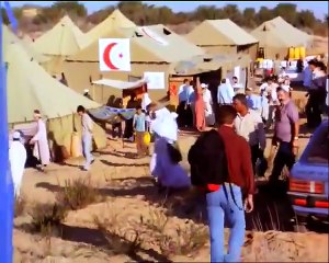 "The Human Shield" Starring Michael Dudikoff