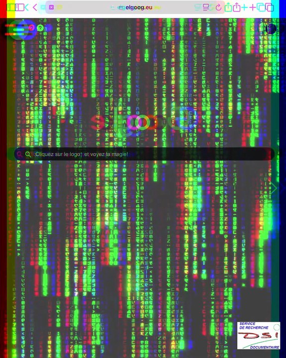 DSI. Les Oeufs de Pâques de Google (Easter Eggs). Chapitre 10. Les faux Easter Eggs. elgooG. 3e partie. Les Easter Eggs d'elgooG  : La Matrice