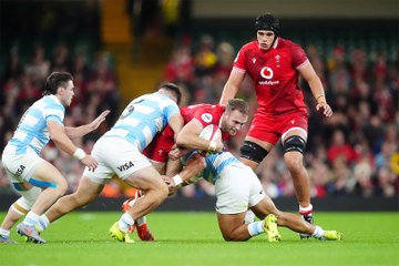 Tournée d'automne : l'Argentine écrase le Pays de Galles à Cardiff