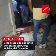 Decomisan 200 paquetes de cocaína en Puerto Multimodal Caucedo