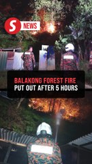 Forest fire at Taman Seri Timah, Balakong, fully extinguished