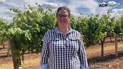 Future-proofing the farm: how and why producers diversify