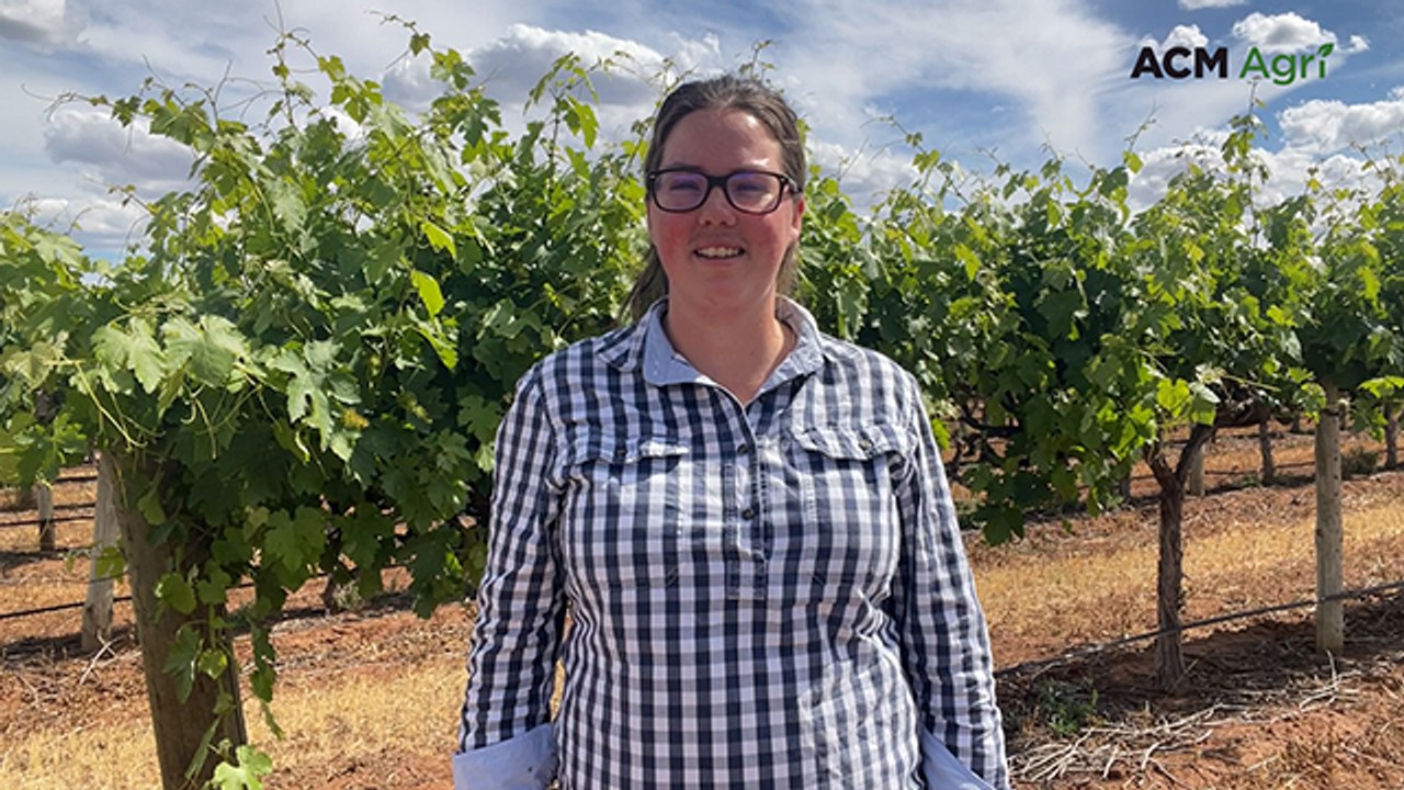 Future-proofing the farm: how and why producers diversify