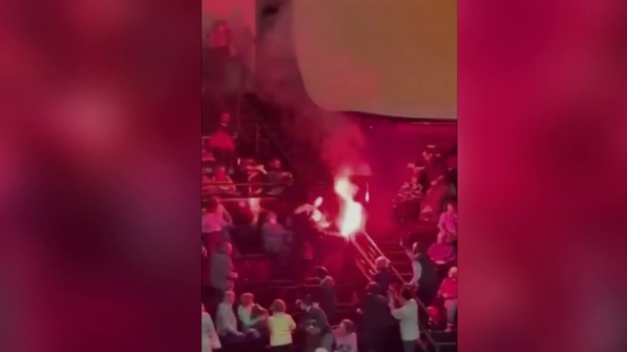 Philharmonie de Paris : des militants propalestiniens sèment la panique lors du concert d'un orchestre israélien