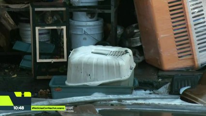 Incendio en Mercado de Mascotas de la Morelos deja animales muertos pese a prohibición de venta