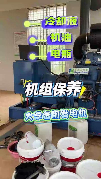 Dingbo Team Serviced A University’s Backup Generator