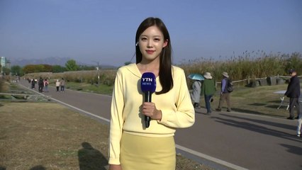 [날씨] 온화한 입동, 서쪽 미세먼지 잔류...주말 밤부터 약한 비 / YTN