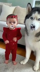 عندما يلوم افضل الأصدقاء بعضهم البعض ❤️❤️