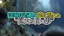 深海探査艇の窓に現れた──“巨大な白い影”