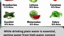 💧 High-Water Fruits and Vegetables