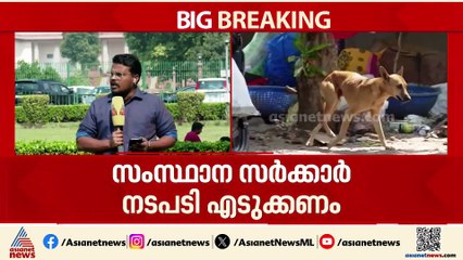 'പൊതുയിടങ്ങളിൽ നിന്നും നായ്ക്കളെ നീക്കണം'; സുപ്രധാന ഉത്തരവുമായി സുപ്രീം കോടതി