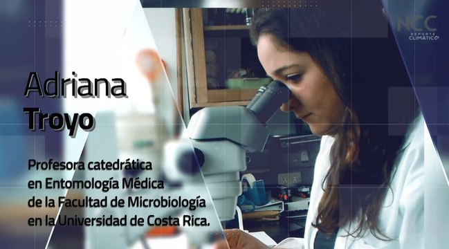 Reporte Climático 223 | Mosquitos: La Amenaza Acelerada