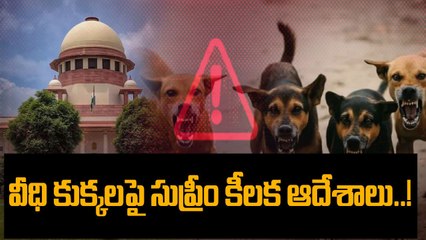 Supreme Court : వీధి కుక్కల కేసులో శుక్రవారం సుప్రీంకోర్టు కీలక ఆదేశాలు | Oneindia Telugu
