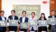 南高屏540萬人生活圈成形 7綠委爭取南台灣24小時機場