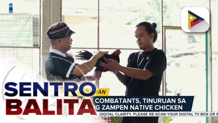 12 dating MILF combatants, tinuruan sa pag-aalaga ng ZamPen native chicken;  naturang proyekto, inorganisa ng DOST-SOCCSKSARGEN at OPAPRU | ulat ni Lean Bolongon - PIA SOCCSKSARGEN