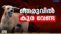 പൊതുയിടങ്ങളിൽ നിന്ന് തെരുവ് നായകളെ മാറ്റാൻ സംസ്ഥാനങ്ങൾക്ക് നിർദേശം