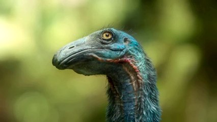 Ein Planet vor unserer Zeit - staffel 3 Trailer DF