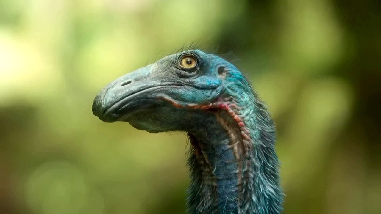 Ein Planet vor unserer Zeit - staffel 3 Trailer DF