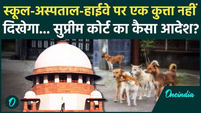 Supreme Court On Stray Dogs: आवारा कुत्तों पर सुप्रीम आदेश, तीन हफ्ते का टाइम... | Stray Dog Verdict
