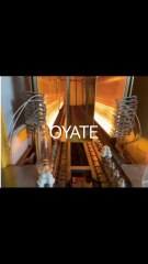 650mm 220v 1200w infrared heating lamp halogen heating element for PET Blowing Machines