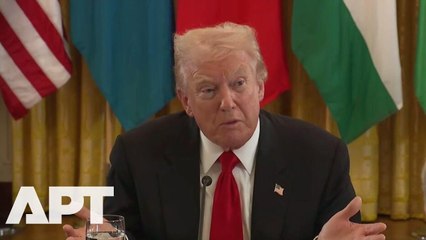 Trump Unveils Powerful Coalition, Says International Stability Force Heading To Gaza ‘Soon’ | APT