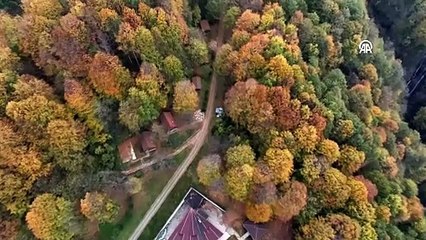 Foto safari yapacaklar buraya: Şimdi tam zamanı!