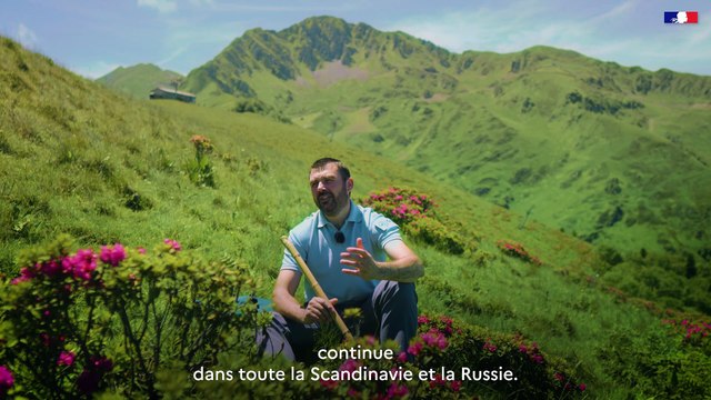 DREAL Occitanie - Plan National D'Action - #12 Le grand tétras