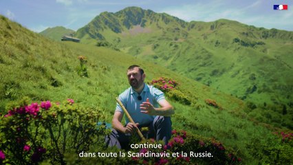 DREAL Occitanie - Plan National D'Action - #12 Le grand tétras