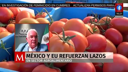 EU empieza a procesar migrantes por terrorismo | Rodrigo Rico, 6 de noviembre de 2025