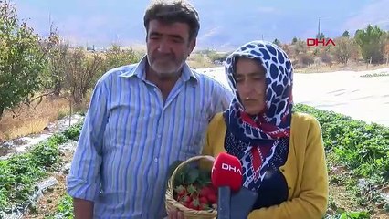 Hobi olarak başladı, şimdi ekmek kapısı oldu: ''Siparişlere yetişemiyorum''
