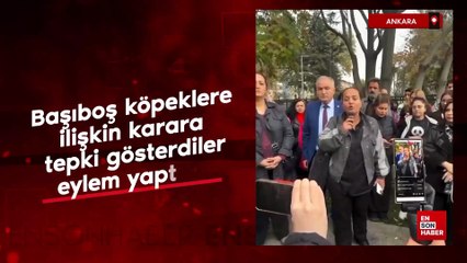 Ankara Valiliği'nin başıboş köpeklere ilişkin kararına tepki gösterip, eylem yaptılar