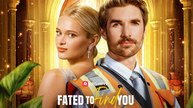 Fated to Find You Full Movie