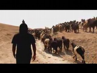 Who Wrote the Bible?? (1 of 11)