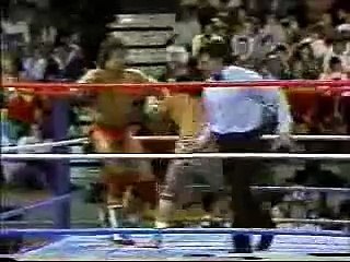 The Islanders vs The Young Stallions