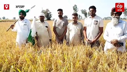 ਖੇਤ 'ਚ ਖੜੀ ਫਸਲ ਪਰ ਪਰਾਲੀ ਸਾੜਨ ਦਾ ਕਿਸਾਨ 'ਤੇ ਪਰਚਾ ਦਰਜ, ਪ੍ਰਸ਼ਾਸਨ ਦਾ ਅਨੋਖਾ ਕਾਰਨਾਮਾ