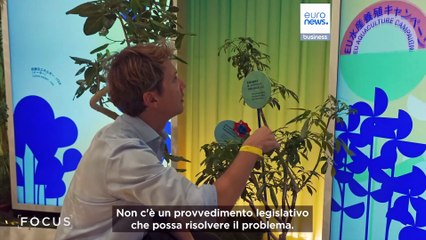 Expo 2025 si conclude con un dialogo globale su vita e sostenibilità