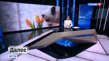 Вести в 17:00 (Россия-1, 08.03.2025)