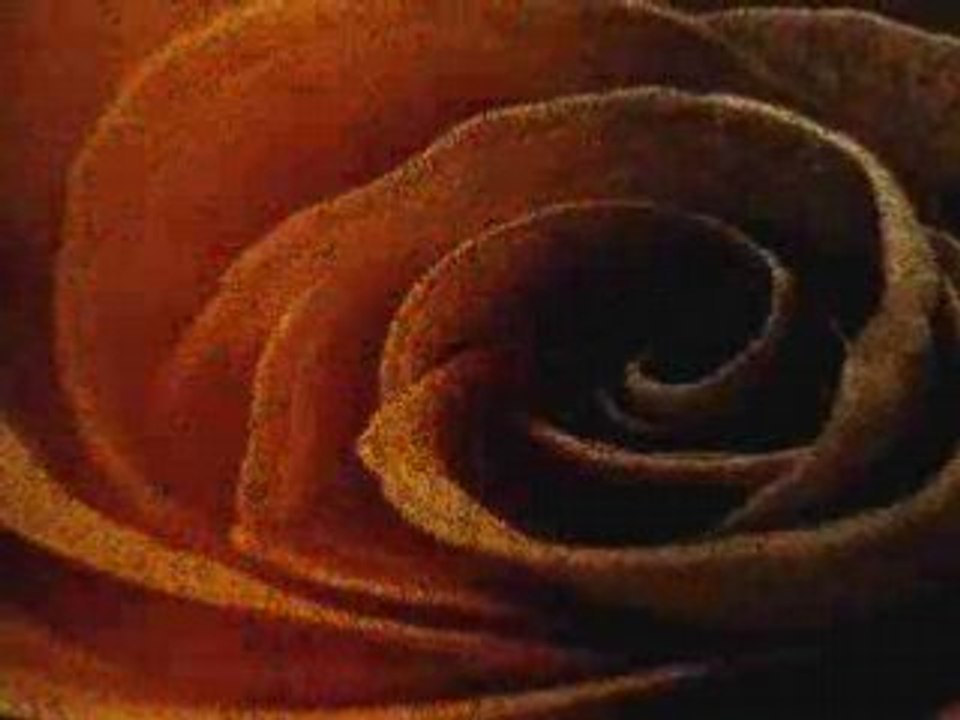 la_femme_et_son_foyer