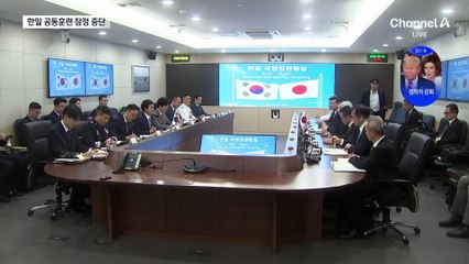 블랙이글스 막자, 공동훈련 취소…한·일 군 신경전