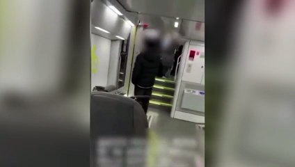 L'aggressione a una modella brasiliana sul treno per Milano in un video
