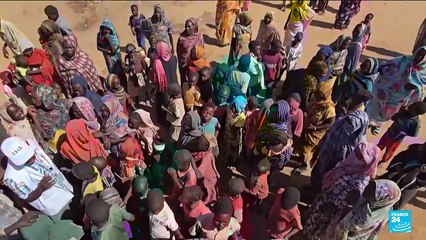 Soudan : les paramilitaires annoncent leur accord à une proposition de trêve,