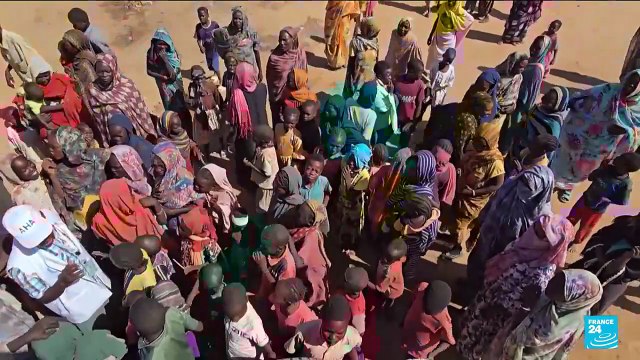 Soudan : les paramilitaires annoncent leur accord à une proposition de trêve,