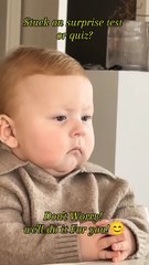 Need Instant Quiz Support? Try Our Professional Online Class Help