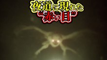 夜道に現れた“赤い目”