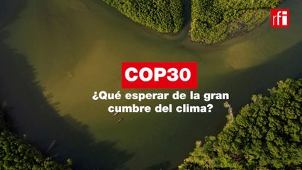 COP30: claves y expectativas de la gran cumbre climática en Brasil