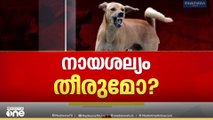 തെരുവുനായ ശല്യം തീരുമോ? സുപ്രധാന ഉത്തരവുമായി സുപ്രിംകോടതി