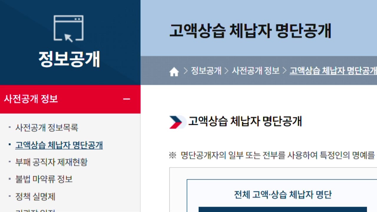 관세청, '탄산음료 위장 위스키' 등 고액 체납자 236명 명단 공개 / YTN