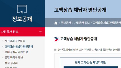 관세청, '탄산음료 위장 위스키' 등 고액 체납자 236명 명단 공개 / YTN