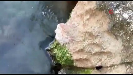 Suların çekildiği gölde şaşırtan keşif: Çakmağı çaktı, bir anda alev aldı!